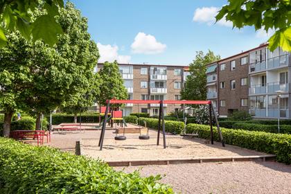 Bild av närområdet