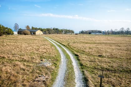 Bild av närområdet