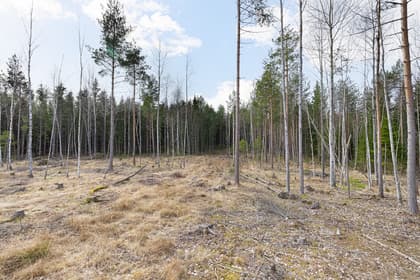 Norrskogsbacken 3, Bro Sjöhagen