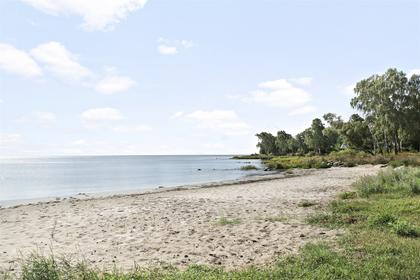 Bild av närområdet