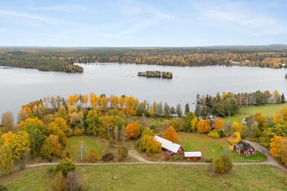 Bild av närområdet