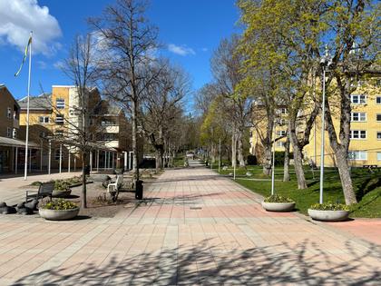 Bild av närområdet