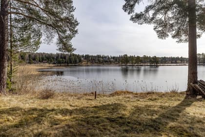 Bild av närområdet