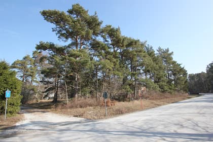 Bild av närområdet