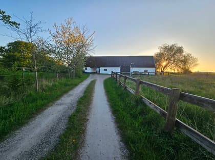 Bild av närområdet