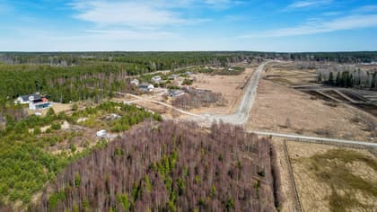 Bild av närområdet