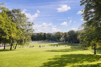 Bild av närområdet