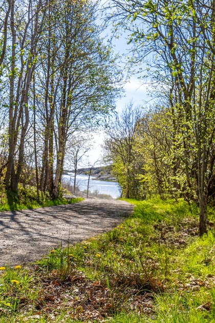 Bild av närområdet