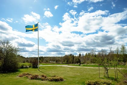 Bild av närområdet