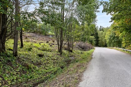 Bild av närområdet