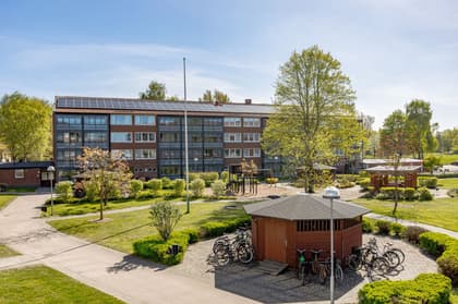 Bild av närområdet