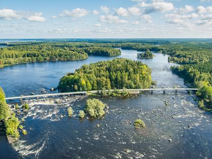 Bild av närområdet