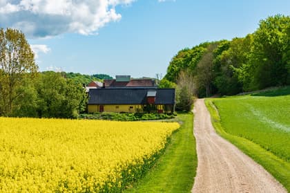 Bild av närområdet