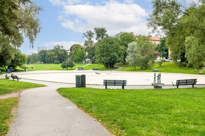 Bild av närområdet