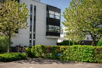 Bild av närområdet