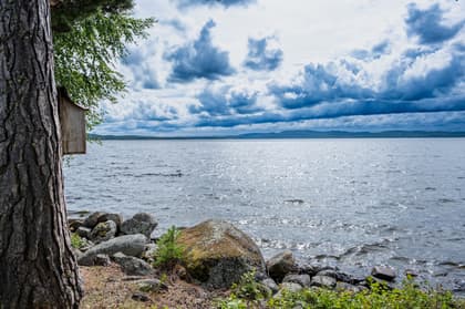 Bild av närområdet