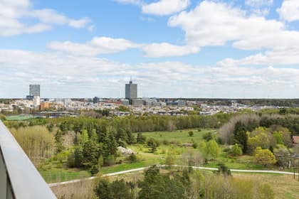 Bild av närområdet