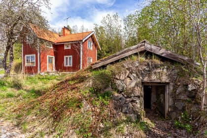 Bild av närområdet