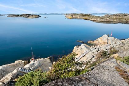 Bild av närområdet