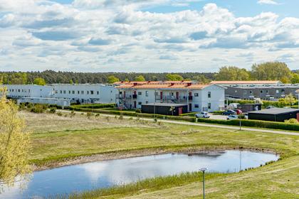 Bild av närområdet