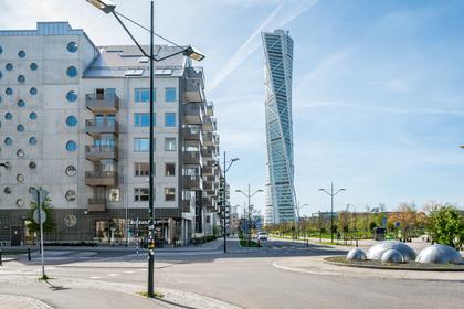 Bild av närområdet