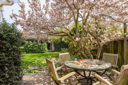 Västergatan 22, Skanör