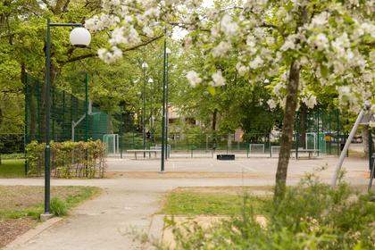 Bild av närområdet