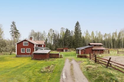 Bild av närområdet