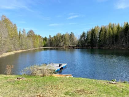 Bild av närområdet