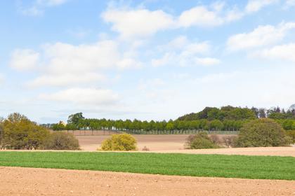 Bild av närområdet