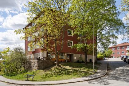 Bild av närområdet