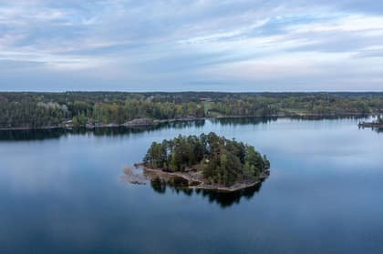 Bild av närområdet