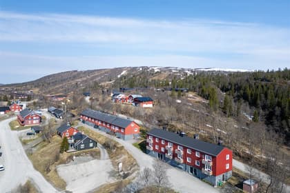 Bild av närområdet