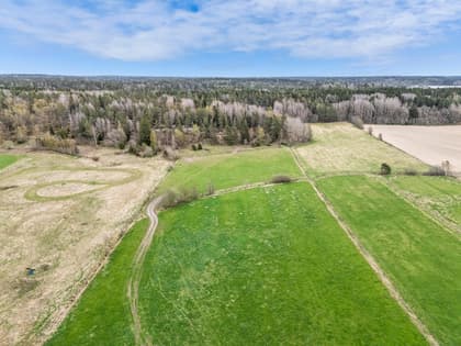 Bild av närområdet