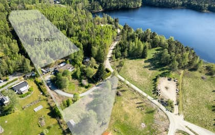 Bild av närområdet