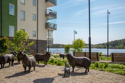 Bild av närområdet