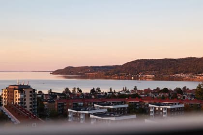 Bild av närområdet