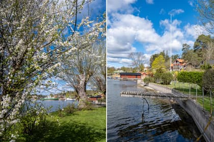 Bild av närområdet