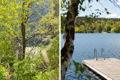 Bild av närområdet