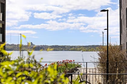 Bild av närområdet