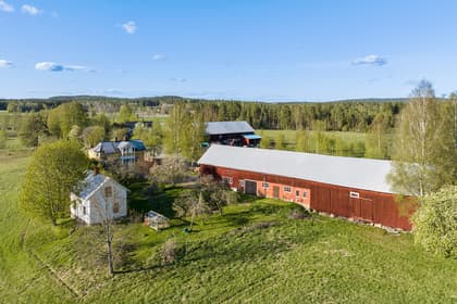 Bild av närområdet