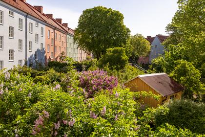 Exteriörbild