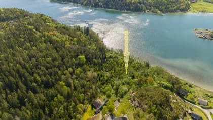 Illustrerad karta över fastigheten eller området