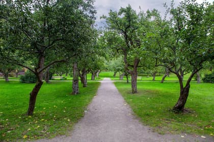 Bild av närområdet