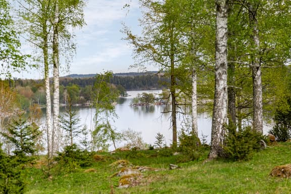 Krogsfall Ängslyckan, Kinda