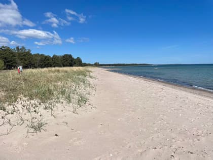 Bild av närområdet