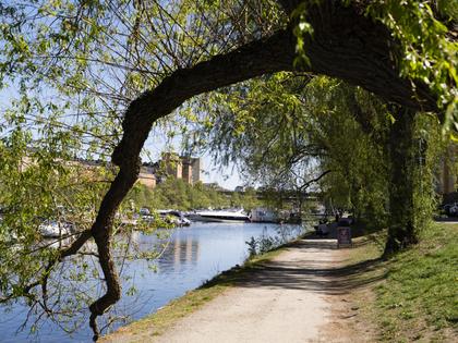 Bild av närområdet