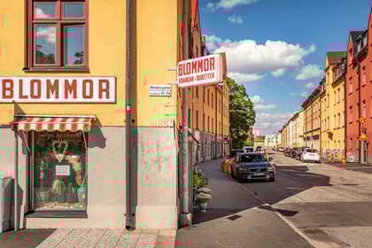 Bild av närområdet