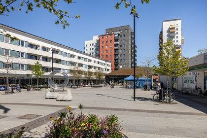 Bild av närområdet