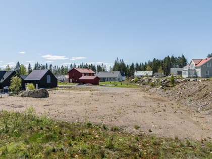 Bild av närområdet